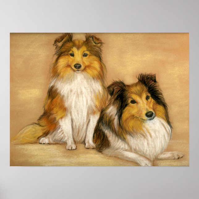 "Two Shetland Sheepdogs" Dog Art Print (Front)