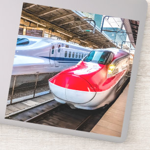 Two Shinkansen at the Tokyo Station