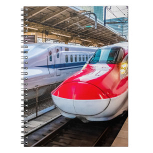 Two Shinkansen at the Tokyo Station Notebook