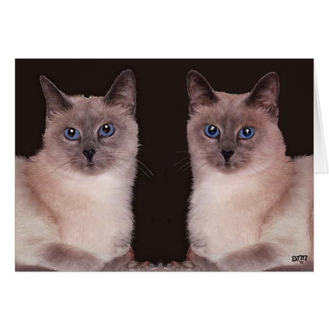 Two Siamese Cats (Front Horizontal)