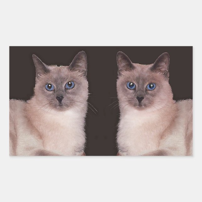 Two Siamese Cats Rectangular Sticker (Front)