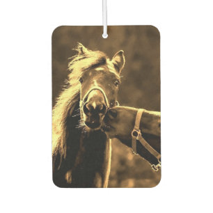 Two Side Photo Car Air Fresheners