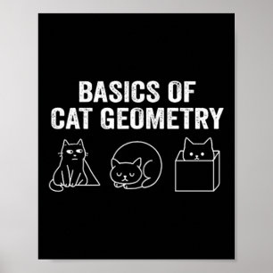 Two Sided Basics Of Cat Geometry Funny Math Teache Poster