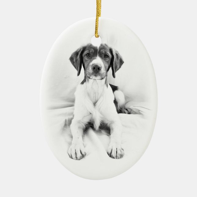 Two-sided Brittany Ornament (Front)