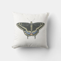 Two-Sided Hand-Drawn Black Swallowtail