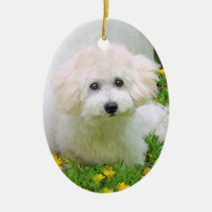 Two Sided Photo Holiday Ornament