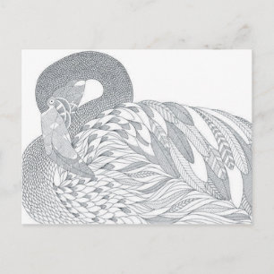 two sided swan adult colouring postcard gift