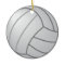 Two sided Volleyball Ornament