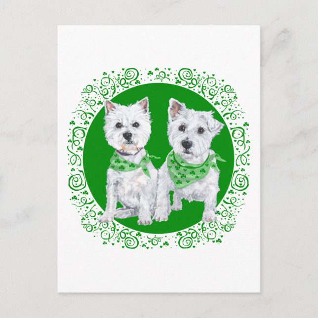Two Sitting Westies on St Patricks Day Postcard (Front)