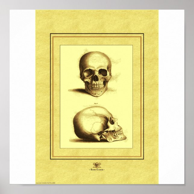 Two Skulls Poster (Front)