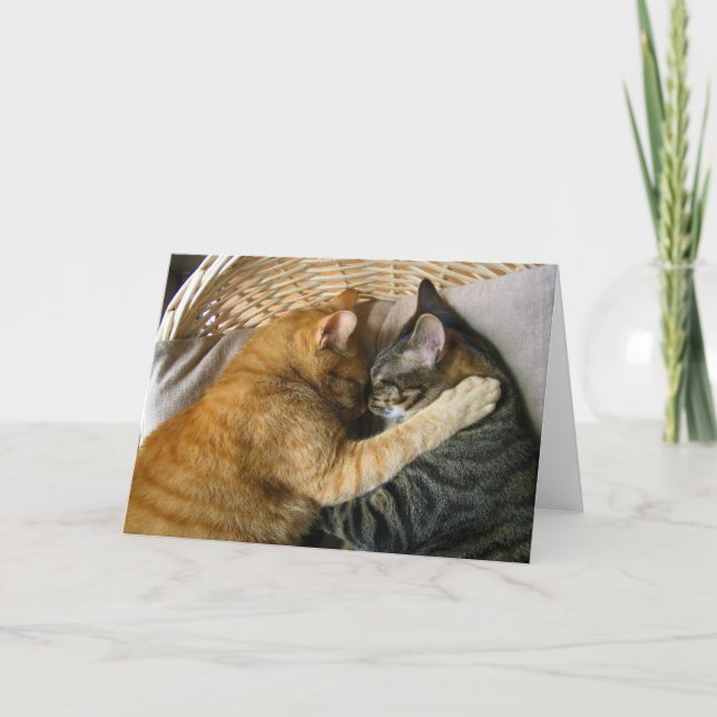 Two Sleeping Tabby Cats Cuddling Card (Front)