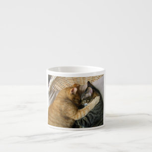Two Sleeping Tabby Cats Cuddling Espresso Cup