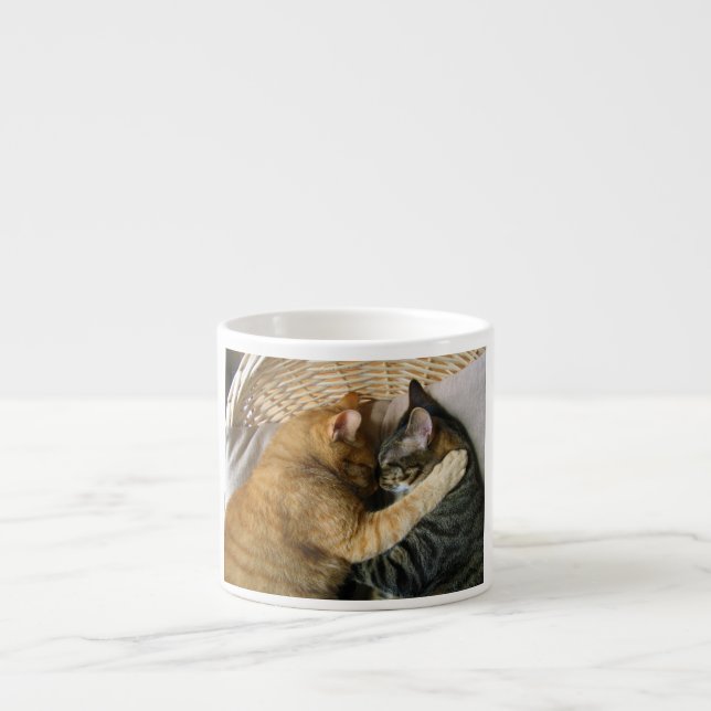 Two Sleeping Tabby Cats Cuddling Espresso Cup (Front)