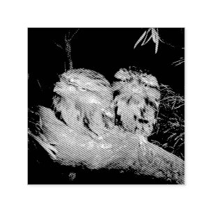 Two Sleepy Frogmouth Owls,  Self-inking Stamp