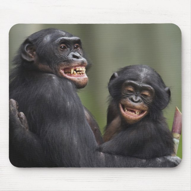 Two Smiling Bonobos Mouse Pad (Front)
