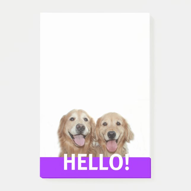 Two Smiling Golden Retriever Dogs Hello Post-it Notes (Front)