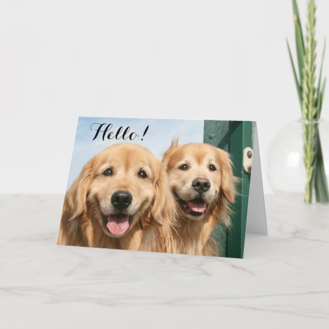 Two Smiling Golden Retrievers Hello Card (Front)