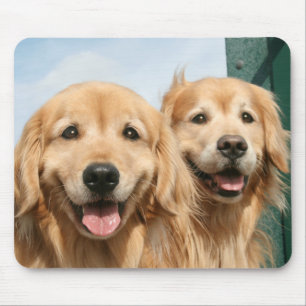 Two Smiling Golden Retrievers Mouse Pad
