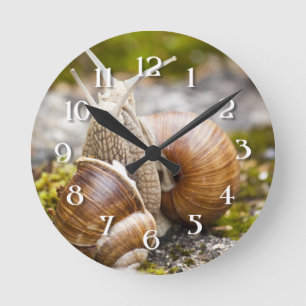 Two Snails Round Clock