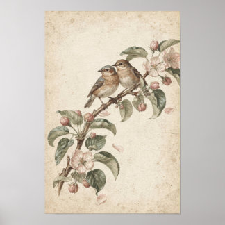 Two Songbirds on Apple Blossoms Botanical Poster