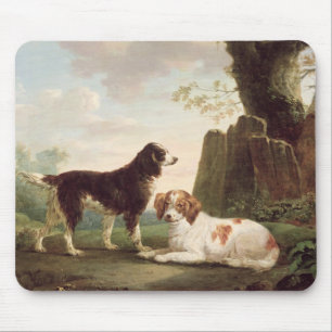Two spaniels in a landscape mouse pad