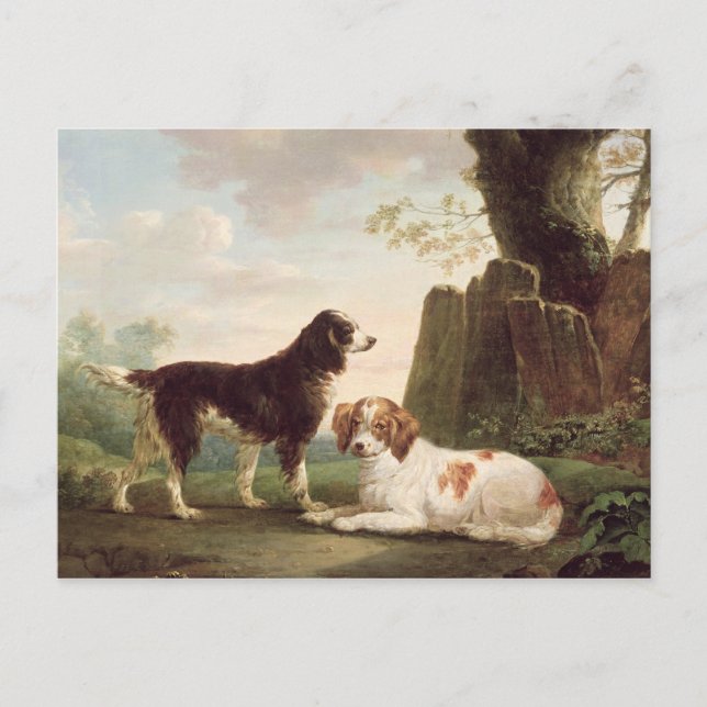 Two spaniels in a landscape postcard (Front)
