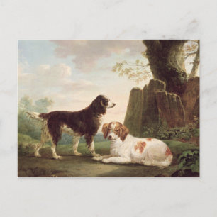 Two spaniels in a landscape postcard
