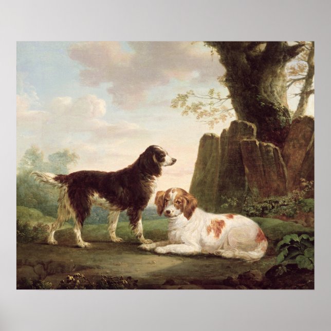 Two spaniels in a landscape poster (Front)
