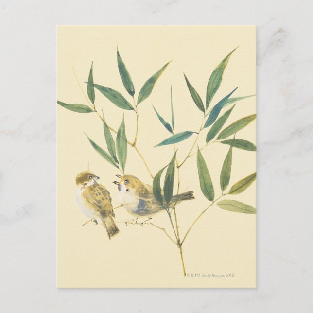 Two Sparrows Postcard (Front)