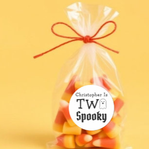 Two Spooky 2nd Birthday Classic Round Sticker