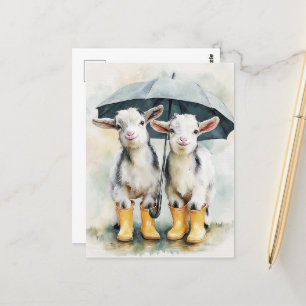 Two Spotted Baby Goats on a Rainy Day Postcard