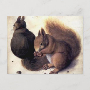 ‘Two Squirrels’ by Albrecht Dürer Postcard
