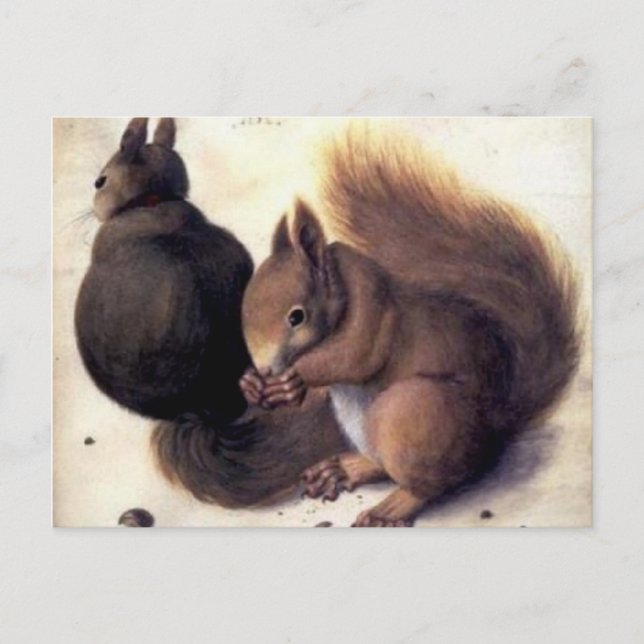 ‘Two Squirrels’ by Albrecht Dürer Postcard (Front)