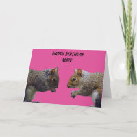 Two Squirrels Happy Birthday Mate