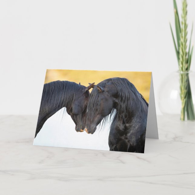 Two Stallion Freinds - Greeting Cards (Front)