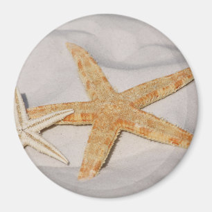Two Starfish in the Sand Magnet
