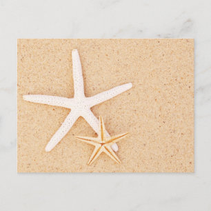 Two Starfish on a Beach Postcard
