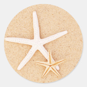 Two Starfish Stickers