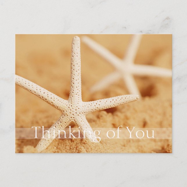 Two Starfish Thinking of You Postcard (Front)