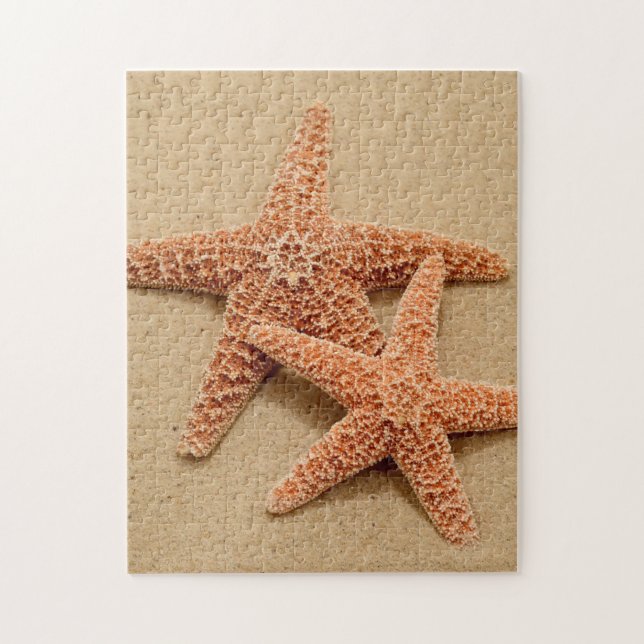 Two Sugar Starfish Jigsaw Puzzle (Vertical)
