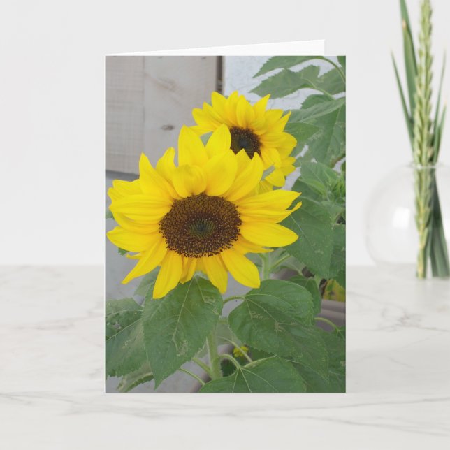 Two sunflowers greeting card (Front)