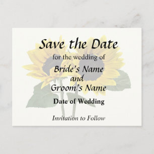Two Sunflowers One Looking Up the Other Down Announcement Postcard