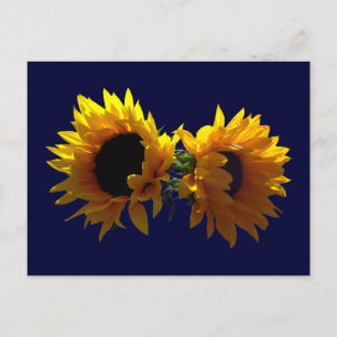 Two Sunflowers Postcard