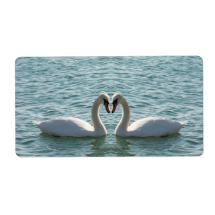 Two swans