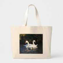 Two Swans And A Duck