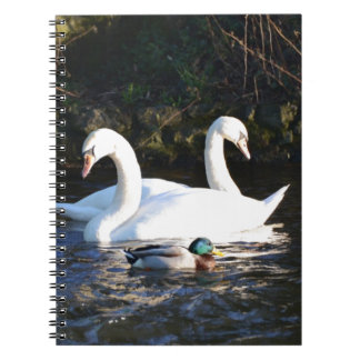 Two Swans And A Duck Notebook
