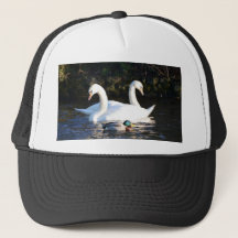 Two Swans And A Duck