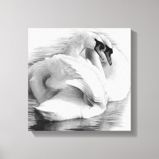 Two Swans Canvas Print (Front)
