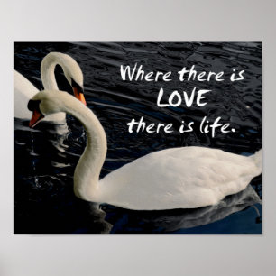 Two Swans on Lake Poster