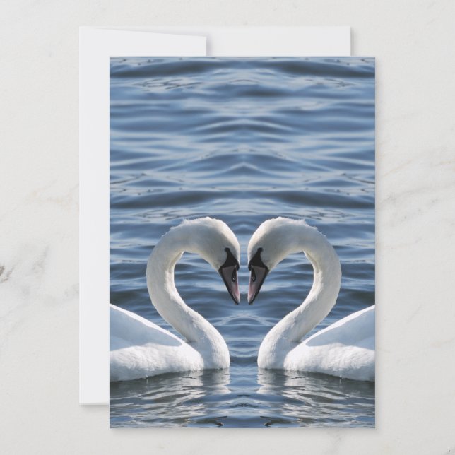 Two swans on the water (Front)